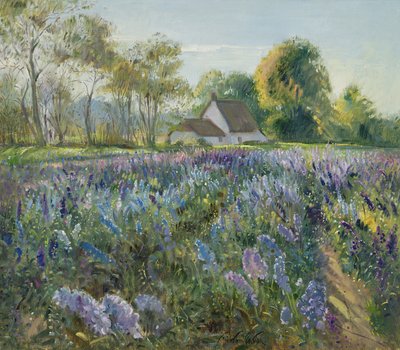 Oktober-Delphinien von Timothy Easton